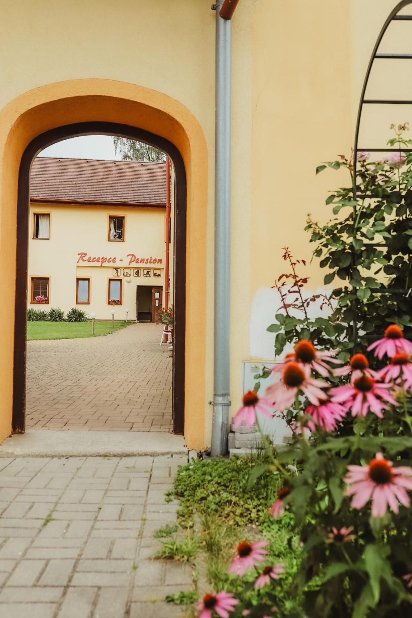 Sport - Relax Buky Hotel Františkovy Lázně Eksteriør billede